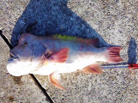 岩屋一文字で一泊